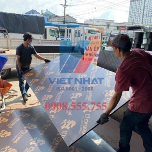VÁN PHỦ PHIM VIỆT NHẬT LOGO RỒNG 15 LY